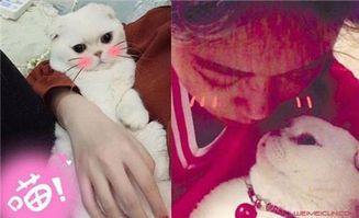 娱乐吃瓜君和刘二豆